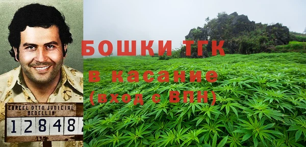 ECSTASY Ладушкин