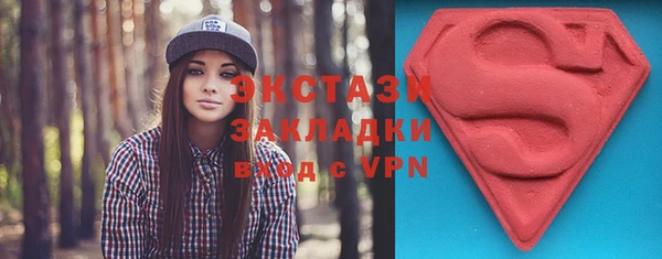 ECSTASY Лагань
