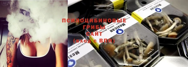 ECSTASY Лагань