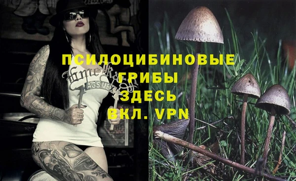 ECSTASY Ладушкин