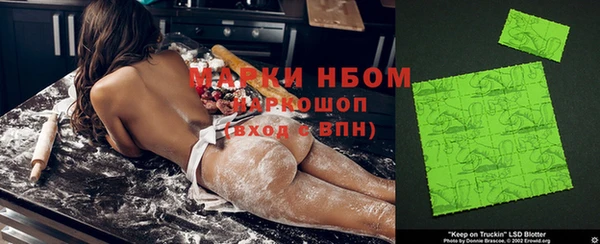 ECSTASY Ладушкин