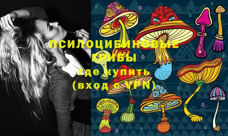 Псилоцибиновые грибы MAGIC MUSHROOMS  кракен зеркало  Руза 